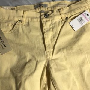 Vintage adorable Yellow crops